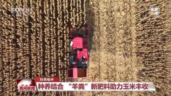 秋日“丰”景!全国秋粮收获已过九成