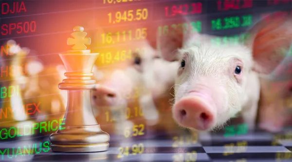猪肉价格降价_猪肉大幅降价_猪肉价格大降超40%