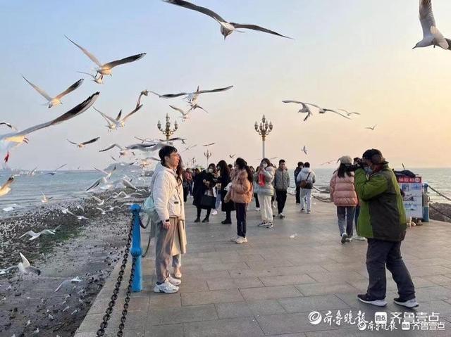 青岛栈桥拍照大爷被要求停止营业:3理由站不住脚