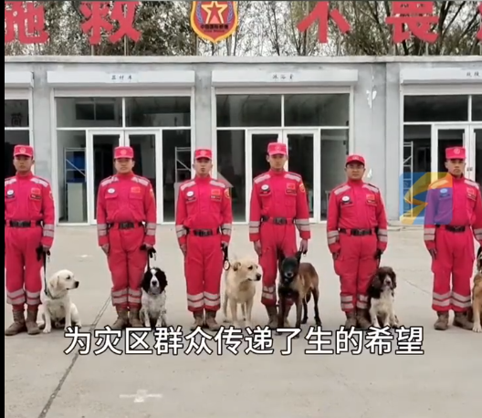 汶川地震微笑女孩结婚