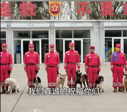 汶川地震微笑女孩结婚