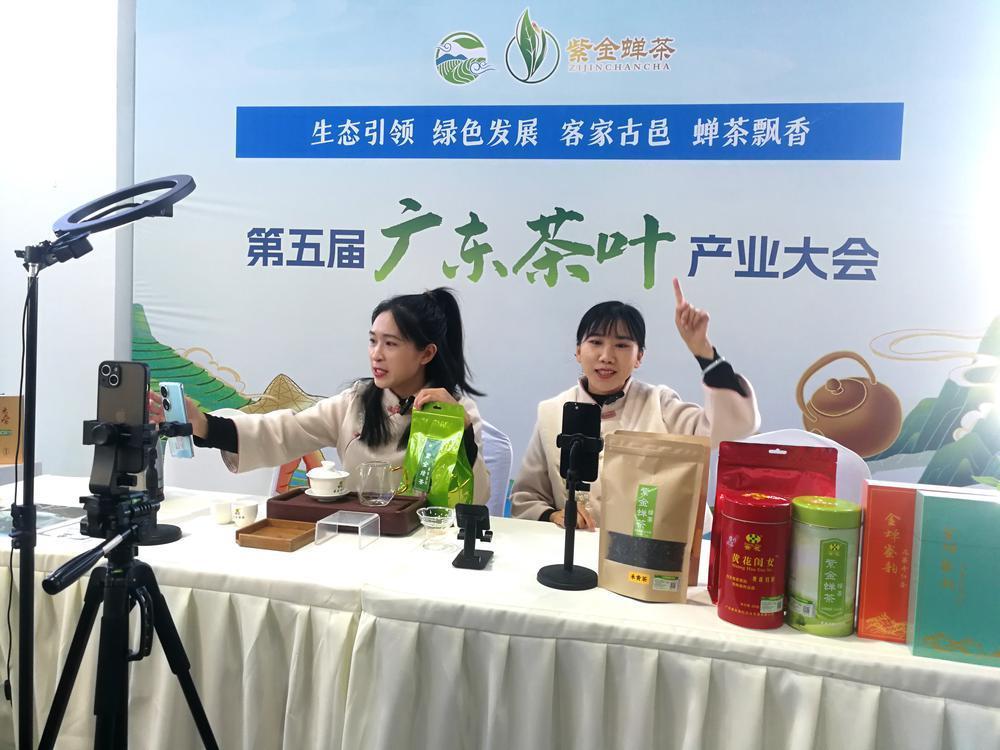 深圳失业保险停领_深圳停发失业保险金?官方辟谣_深圳失业金停领是马上生效吗