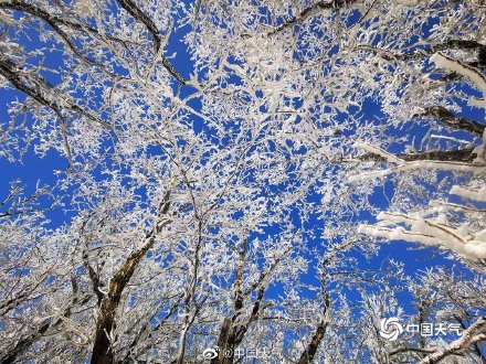 2020年小雪节气的图画_2021小雪节气_小雪节气全国初雪地图出炉