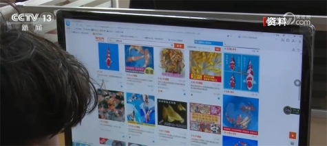 全国超六成锦鲤来自河南 搞锦鲤养殖实现水里淘金