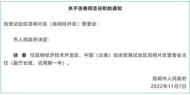 “70后”厅官试用期刚满主动投案_袁梅主动回国投案_如何认定主动投案
