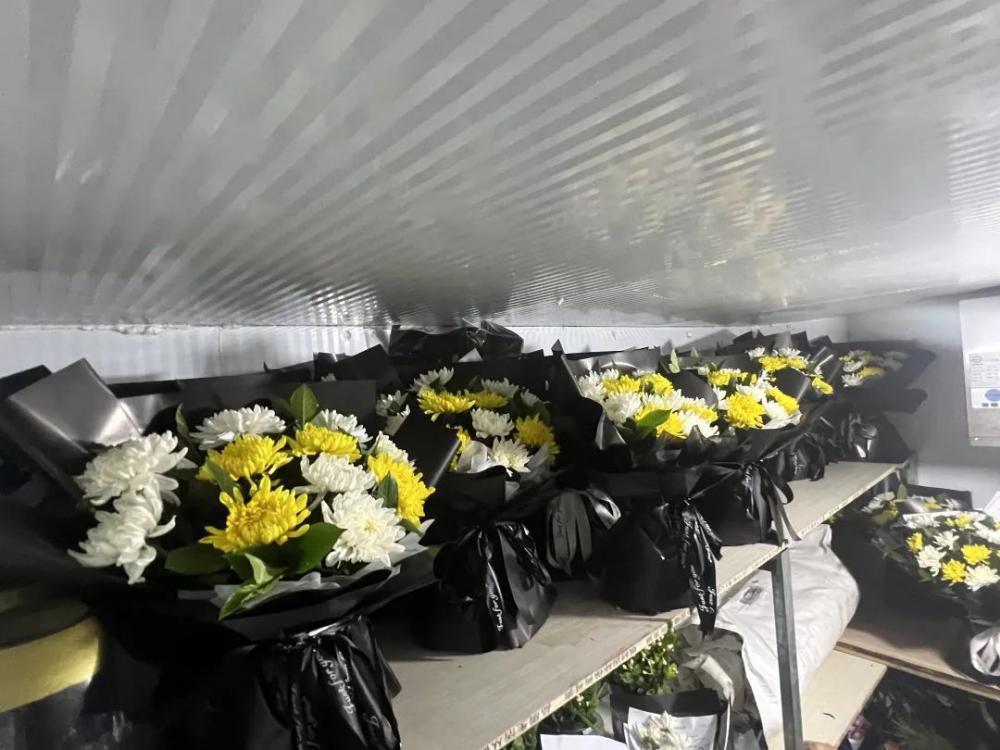 山川同念英雄回家_英雄回家_英雄回家歌曲