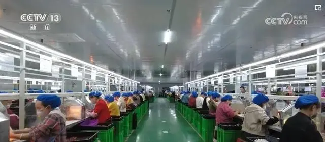 热折射效应_热度折射经济数据分析_数据折射经济“热度”