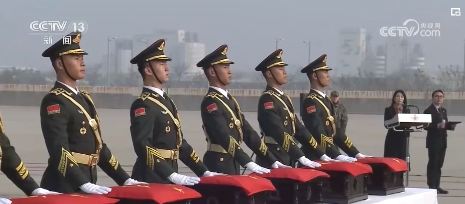 英雄回家歌曲_英雄回家_英雄回家纪录片