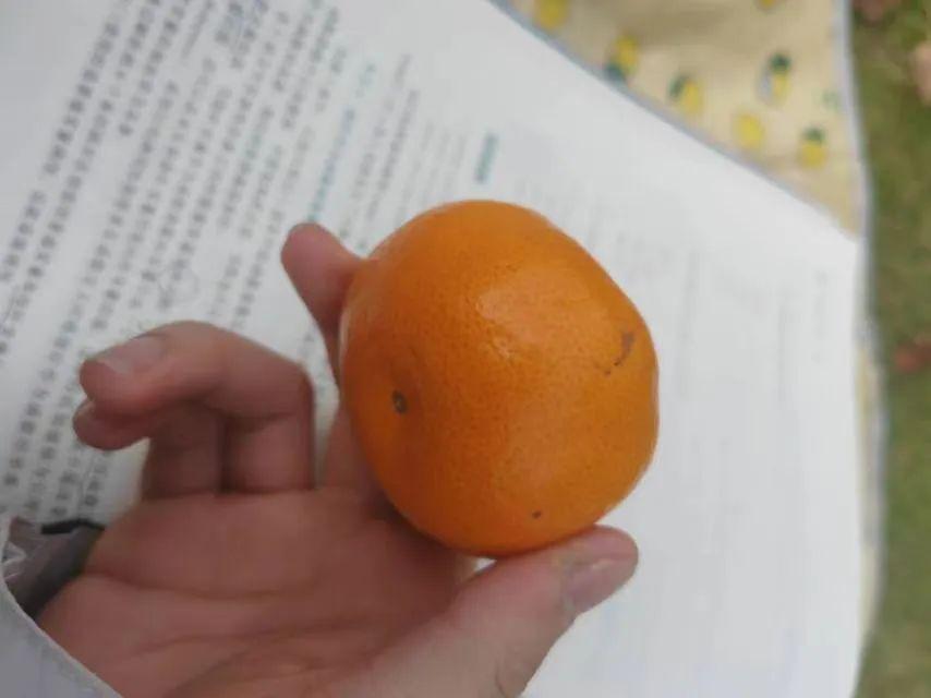 浙大男生为救窒息小孩旷课被点名_男生救人被退学_浙江男子救小女孩