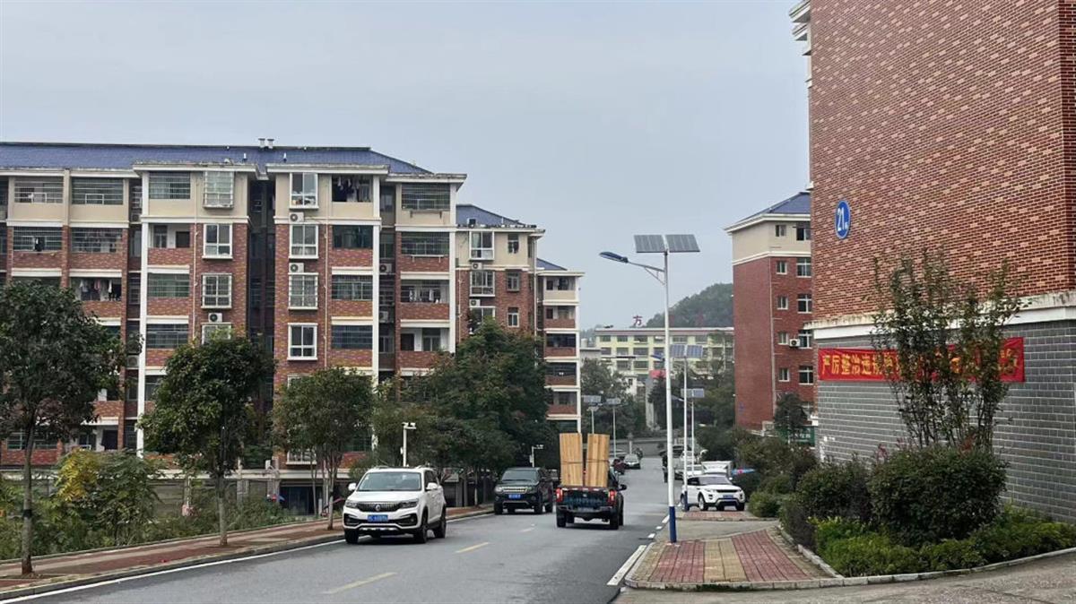 4个公租房小区排查出766户公职人员_排查出租房屋注意事项_排查出租房