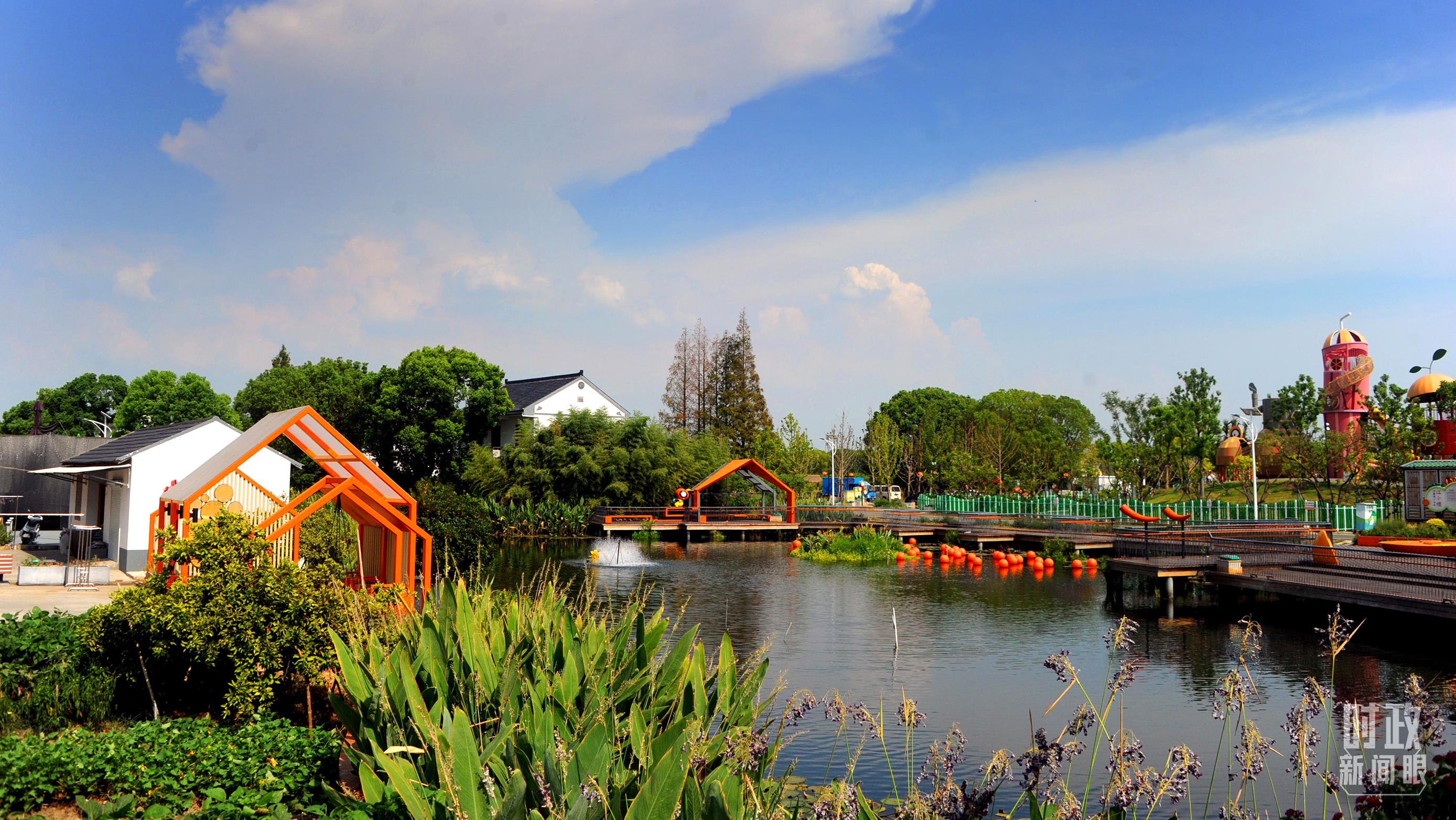 长三角一体化座谈会在哪_长三角一体化座谈会上的讲话_深入推进长三角一体化发展座谈会