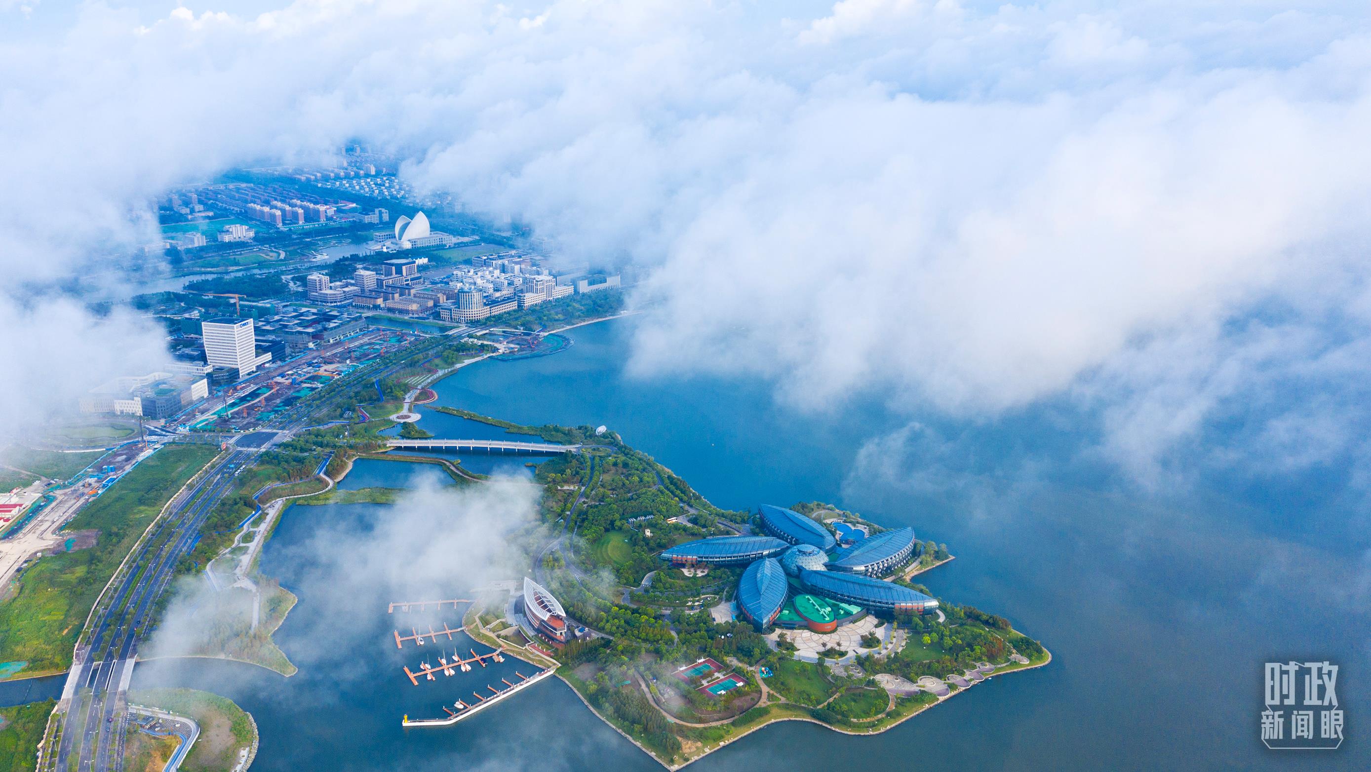 长三角一体化座谈会在哪_长三角一体化座谈会上的讲话_深入推进长三角一体化发展座谈会