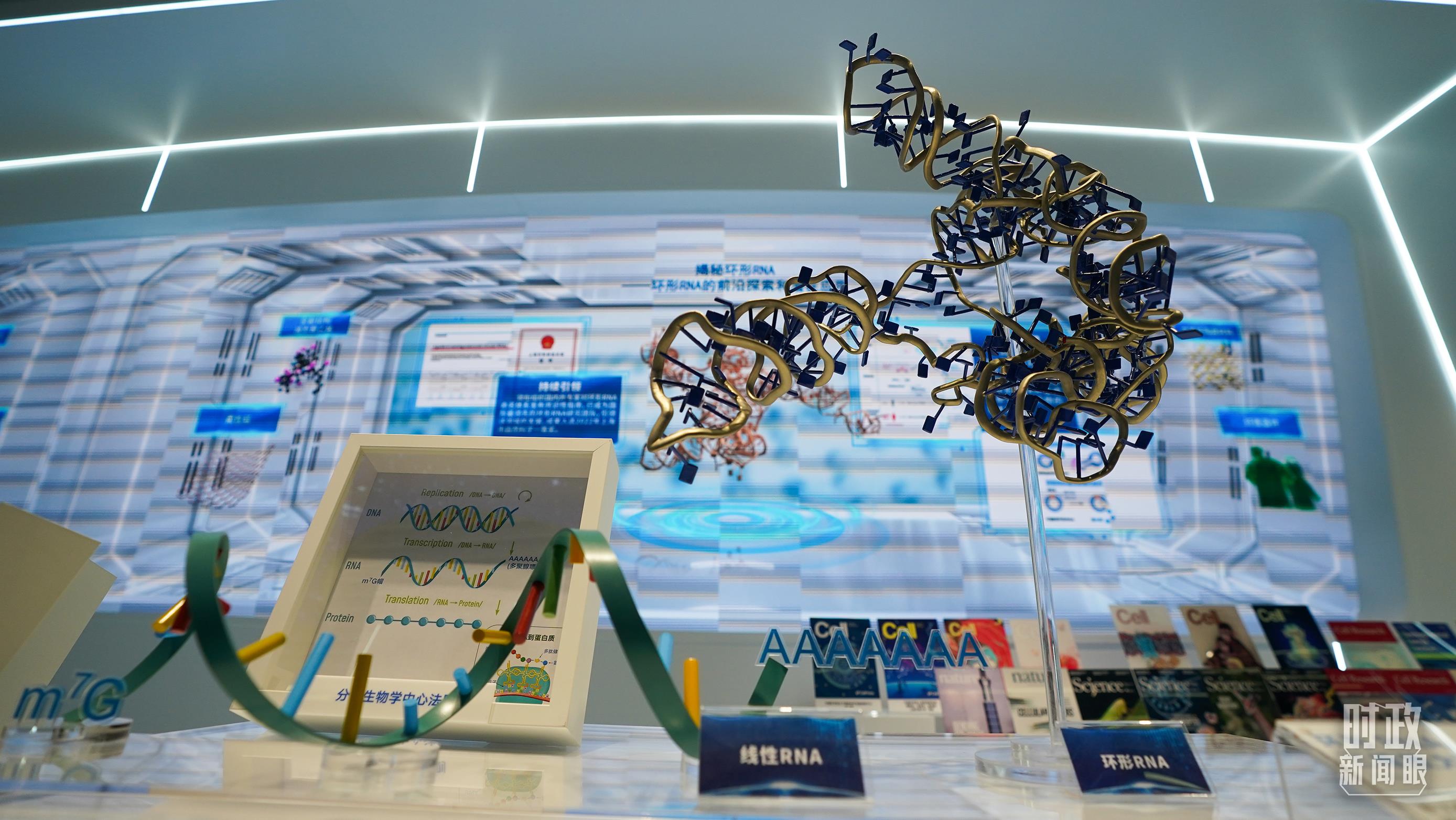 长三角一体化座谈会在哪_深入推进长三角一体化发展座谈会_长三角一体化座谈会上的讲话