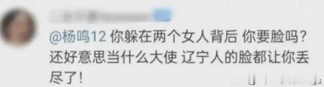 杨鸣妻子疑发长文曝男方出轨细节：罪恶中游泳的人