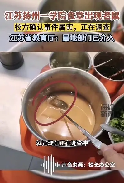 扬州一学院食堂麻酱盆中发现老鼠_扬州一学院食堂麻酱盆中发现老鼠_扬州一学院食堂麻酱盆中发现老鼠
