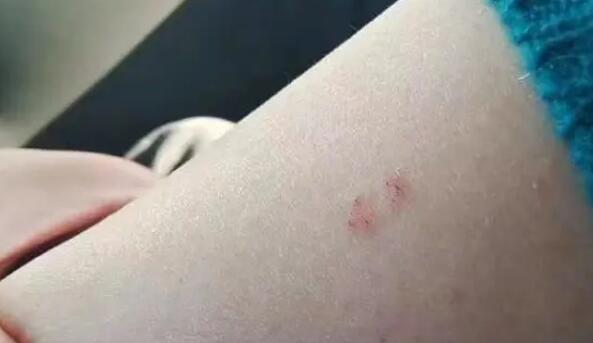 QQ截图20231206085011