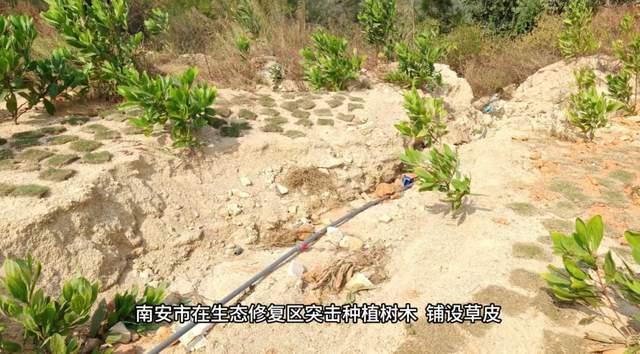 中央督察组点名福建南安名为矿山修复，实为矿产开采
