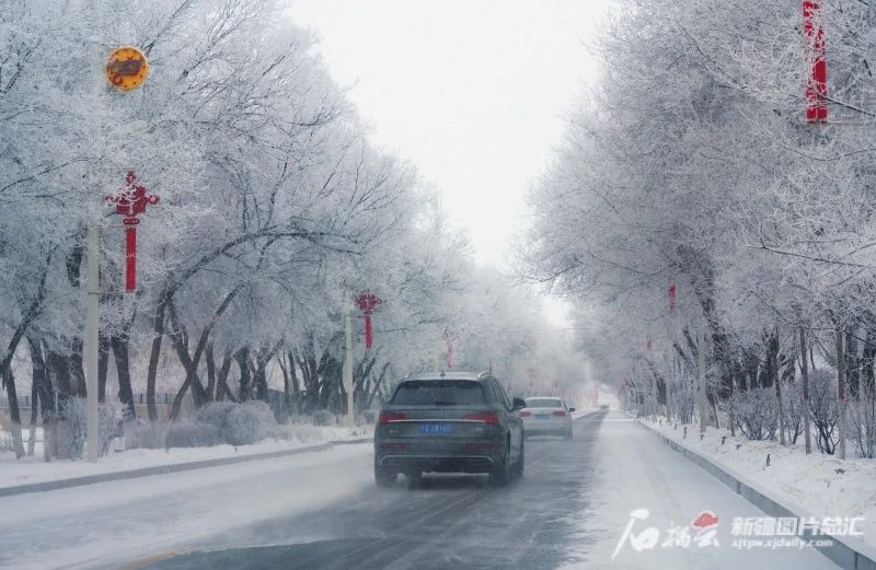 12月9日,乌鲁木齐县水西沟镇路边树上挂满了雾凇。石榴云新疆日报记者张万德摄