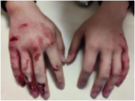 饺子死了几次_妈妈去烧饺子好不好_妈妈去世8个月留下1盘饺子