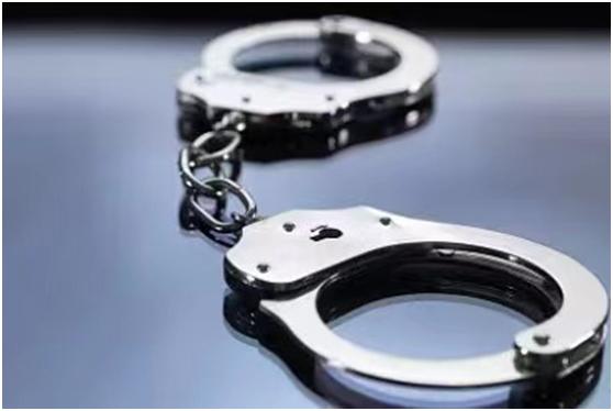 饺子死了几次_妈妈去烧饺子好不好_妈妈去世8个月留下1盘饺子