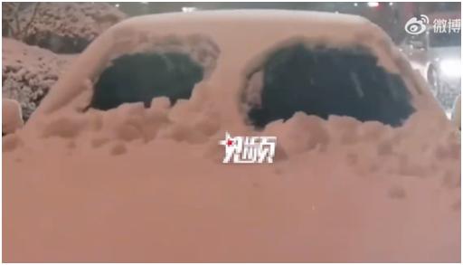 饺子死了几次_妈妈去烧饺子好不好_妈妈去世8个月留下1盘饺子