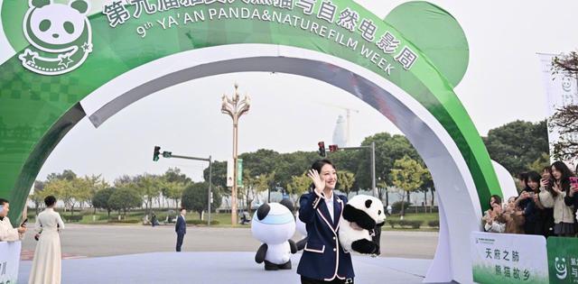 演员周海媚的个人资料_演员周海媚因病去世_演员周海媚简介