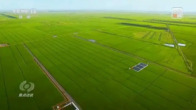 确保同向发力、形成合力_发挥合力_发挥合力作用