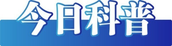 大雪—鹅毛雪照样子写词_大雪—鹅毛雪_“鹅毛大雪”才是暴雪？