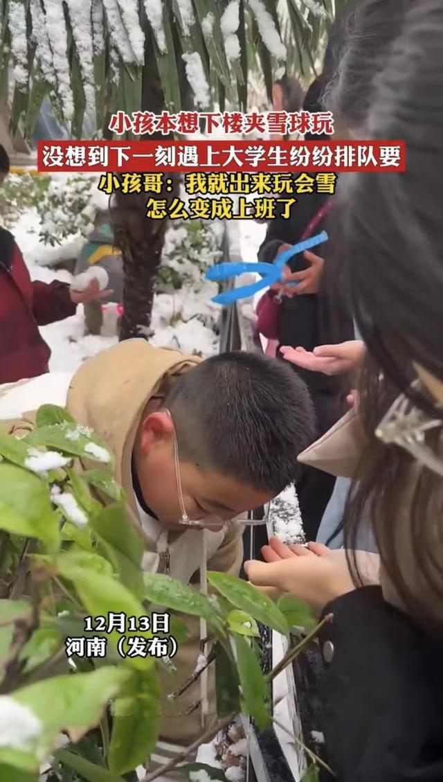 雪天小孩哥夹雪熊哄大学生忙成流水线