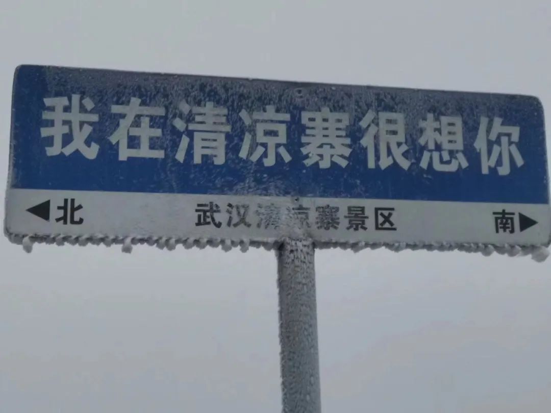 下雪武汉标准发音_下雪武汉大学_武汉下雪