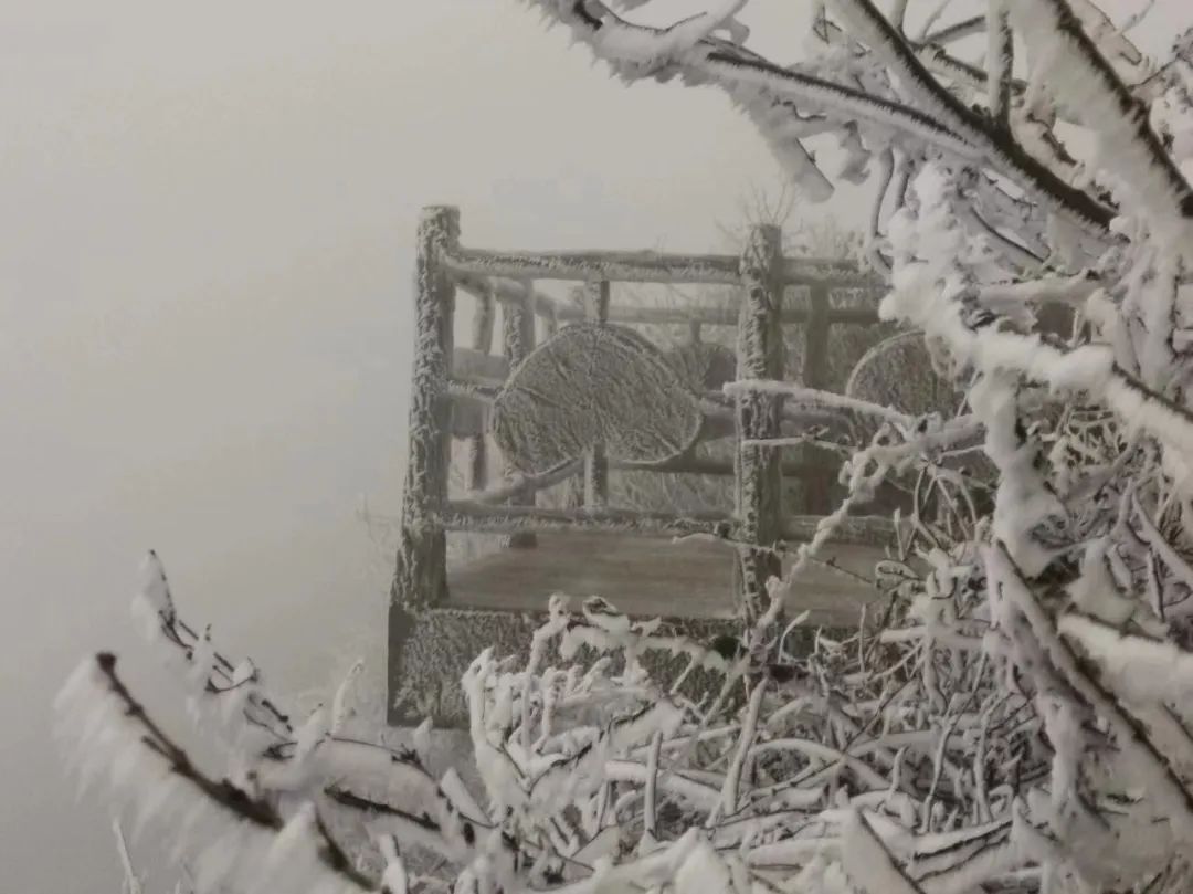 武汉下雪_下雪武汉大学_下雪武汉标准发音