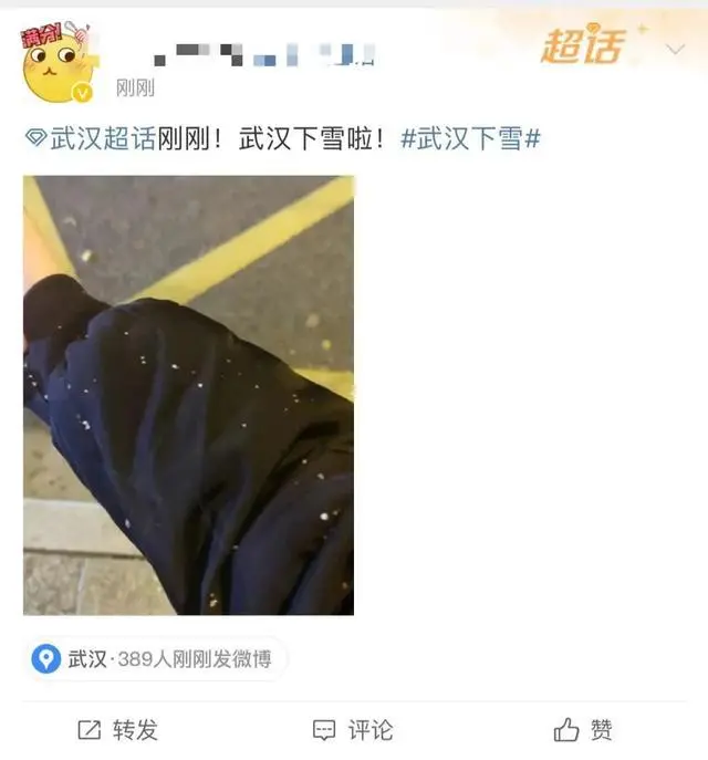 武汉下雪_下雪武汉欢乐谷能玩吗_下雪武汉自驾到庐山