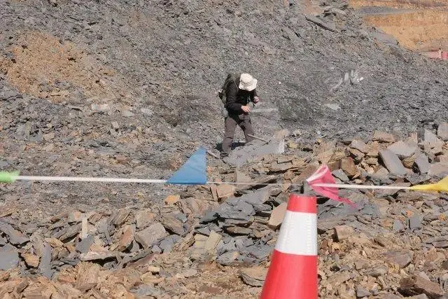 云南古生物化石群_云南化石群_云南一工地发现大量古生物化石