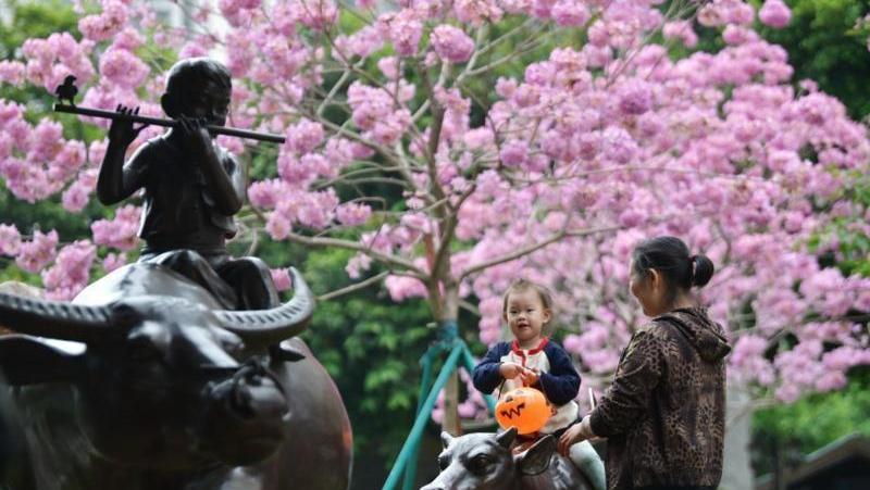 还要忍受三天湿冷，下周三阳光上线，白天气温回升