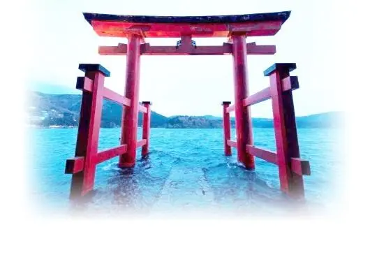 甲国游客a在上海旅游时_多国开启中国游客“抢人”大战_法国抢游客