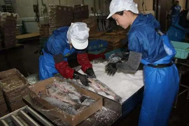 多国开启中国游客“抢人”大战_甲国游客a在上海旅游时_法国抢游客