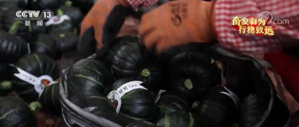 保障群众正常生产生活_确保群众生产生活有序_群众保障正常生产生活的措施