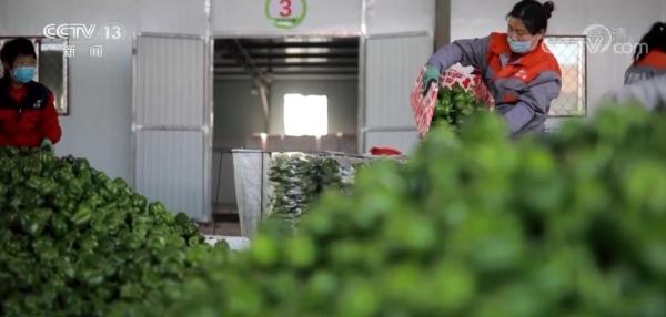 确保群众生产生活有序_保障群众正常生产生活_群众保障正常生产生活的措施