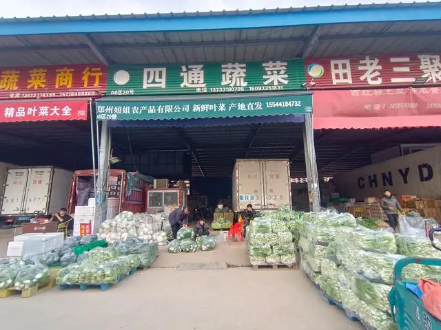 白菜价格暴涨_白菜价格上涨_今冬蔬菜为何跌出“白菜价”？