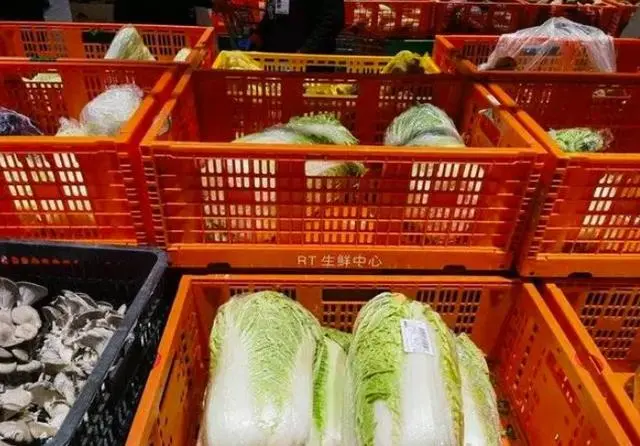 今冬蔬菜为何跌出“白菜价”？_白菜价格波动_白菜价格上涨