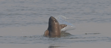 改革惠及民生_让改革成果惠及全民_改革成果惠及群众