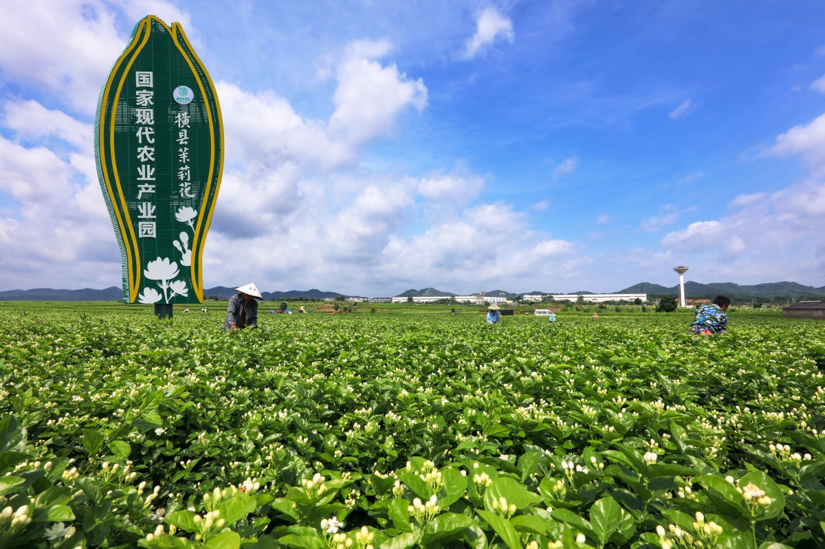 奋力谱写中国式现代化广西篇章_谱写广西发展新篇章_广西治理现代化