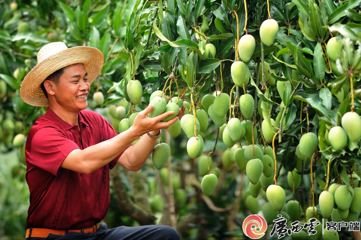 谱写广西发展新篇章_奋力谱写中国式现代化广西篇章_广西治理现代化