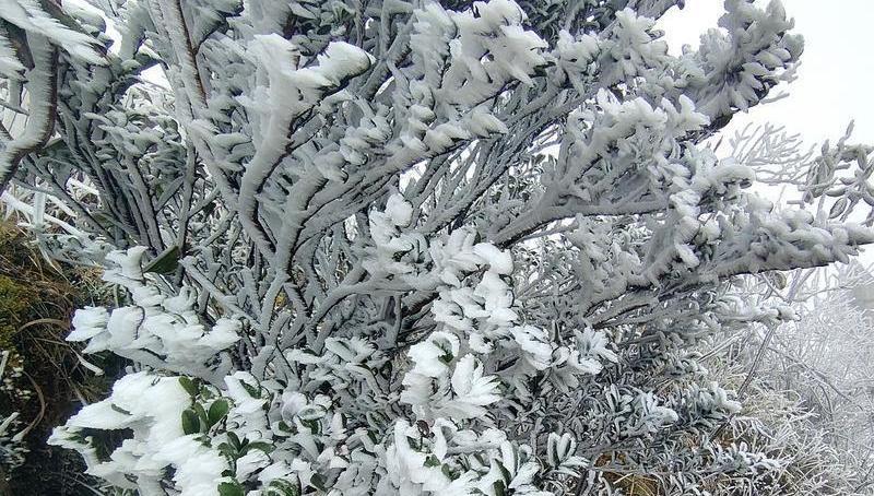 广州明天气温短暂回升，后天新冷空气“补刀”