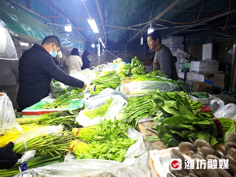 菜篮子保供稳价_稳定菜篮子的建议_“菜篮子”量足价稳