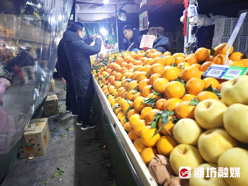 菜篮子保供稳价_“菜篮子”量足价稳_稳定菜篮子的建议