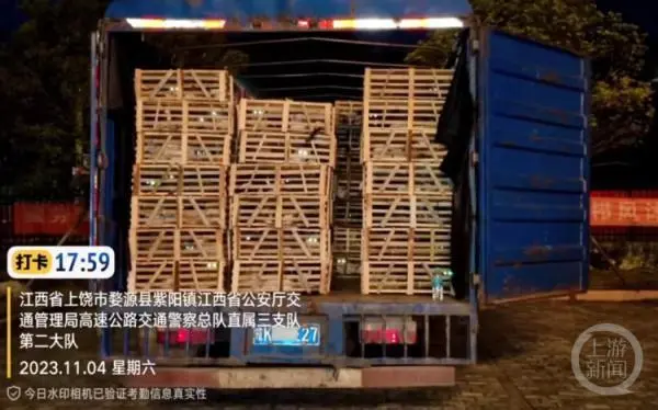 蓝象运车和蚂蚁运车那家好_高速上拦截运狗车被撞_一辆载有950余只猫的运猫车被拦截