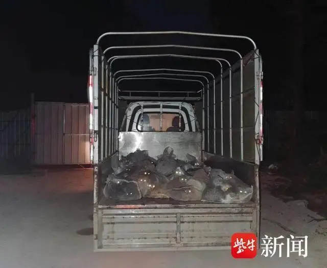 一辆载有950余只猫的运猫车被拦截_蓝象运车和蚂蚁运车那家好_高速上拦截运狗车被撞