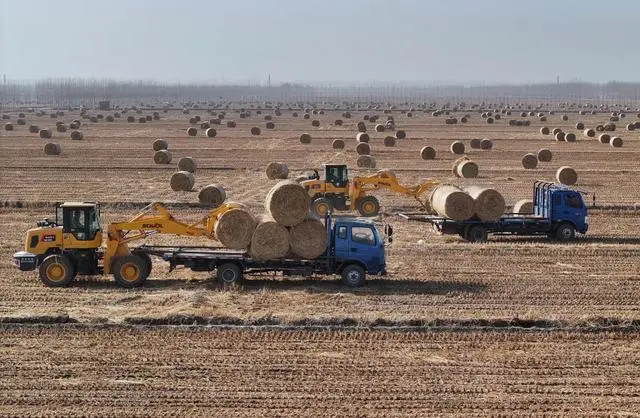 乡村美丽幸福生活的句子_美丽乡村 幸福生活_乡村美丽幸福生活图片