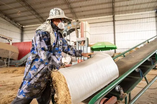 乡村美丽幸福生活的句子_乡村美丽幸福生活图片_美丽乡村 幸福生活